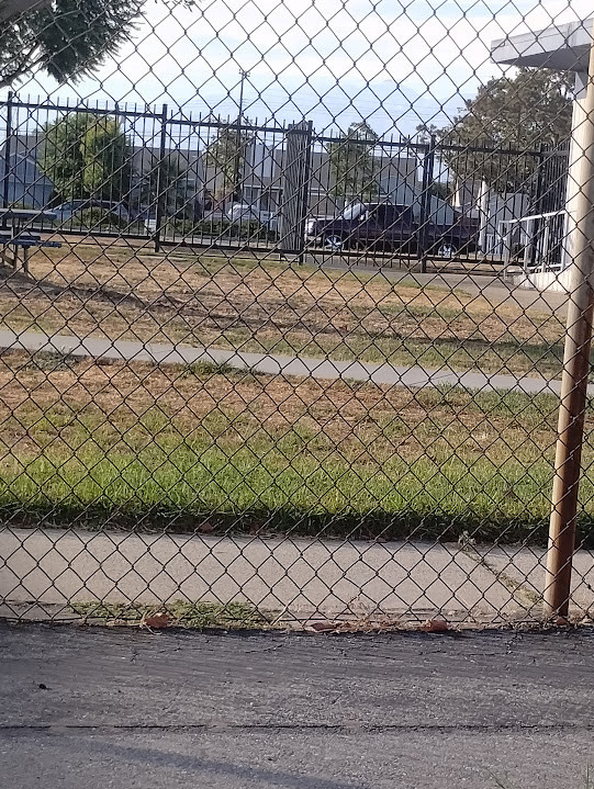 a fence view