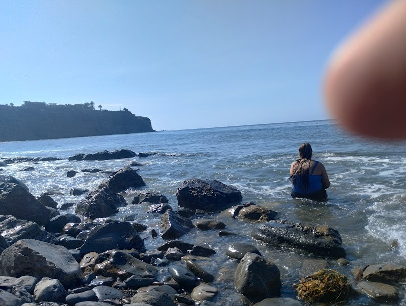 new summer day